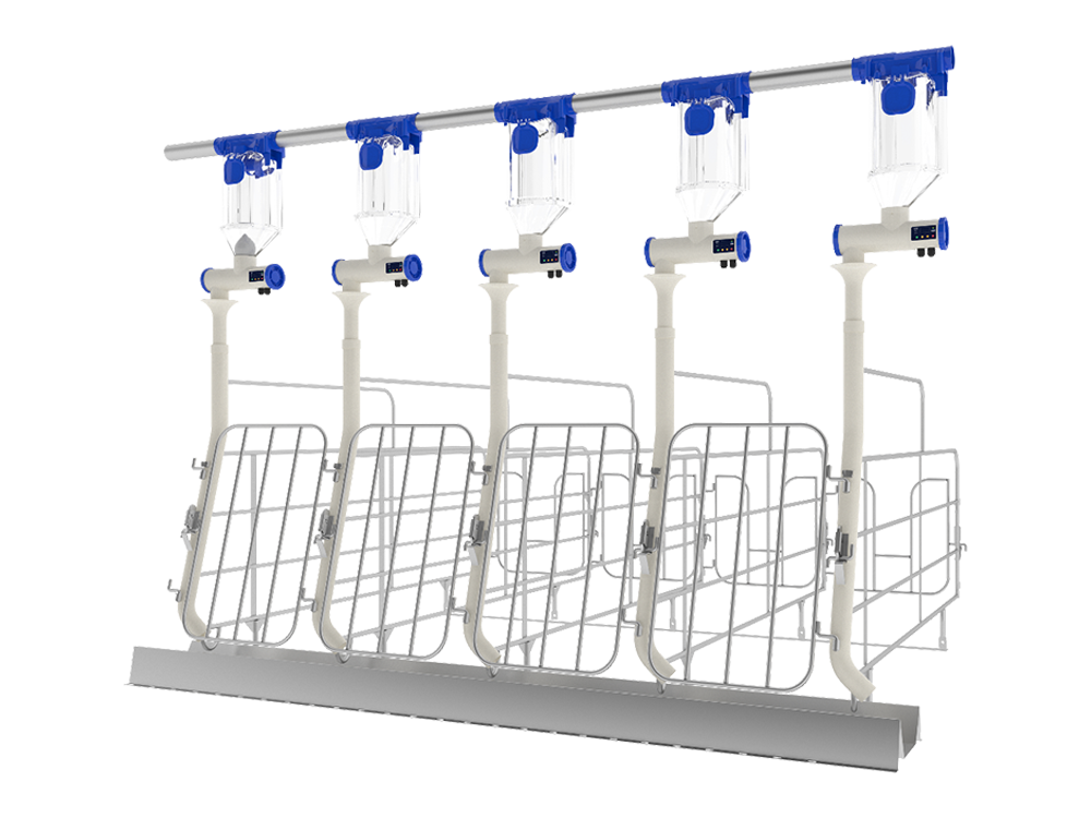 pig feeder NF02